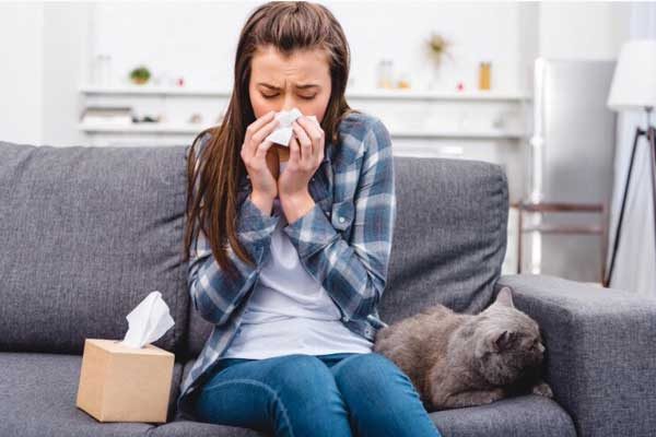 аллергия на животных