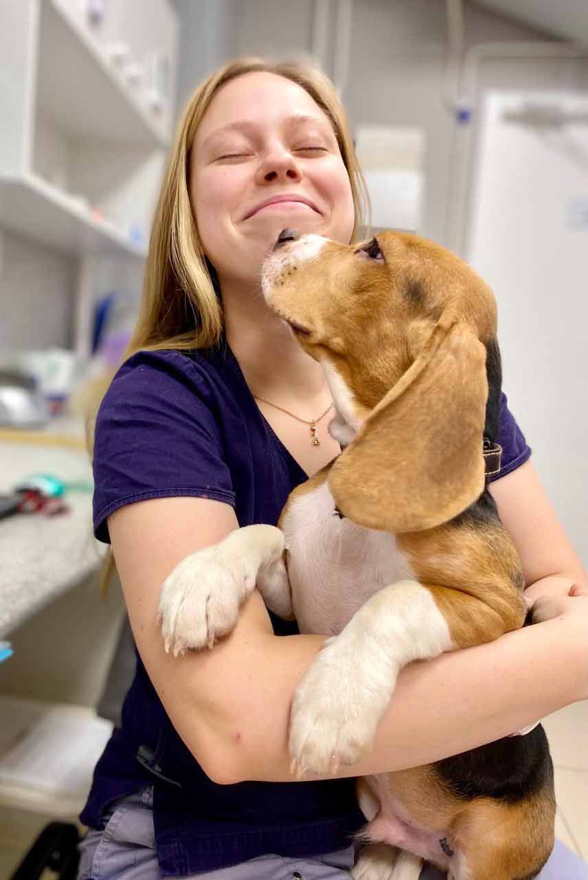 вакцинация собак и кошек