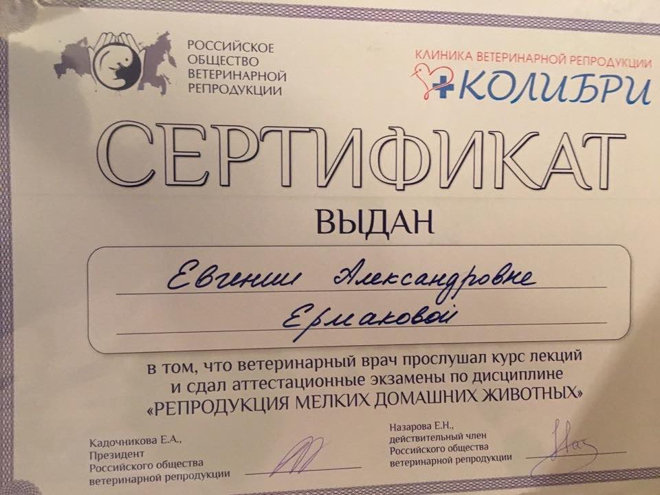 Карпова сертификат 3