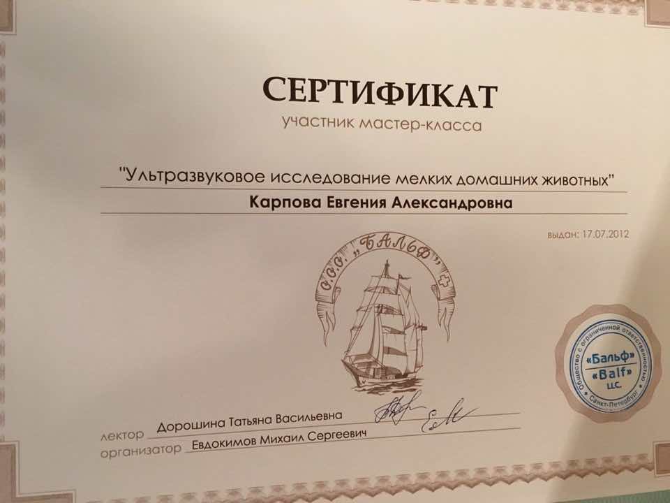Карпова сертификат 1