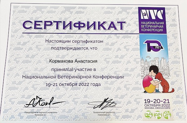 Кормакова Анастасия Сертификат