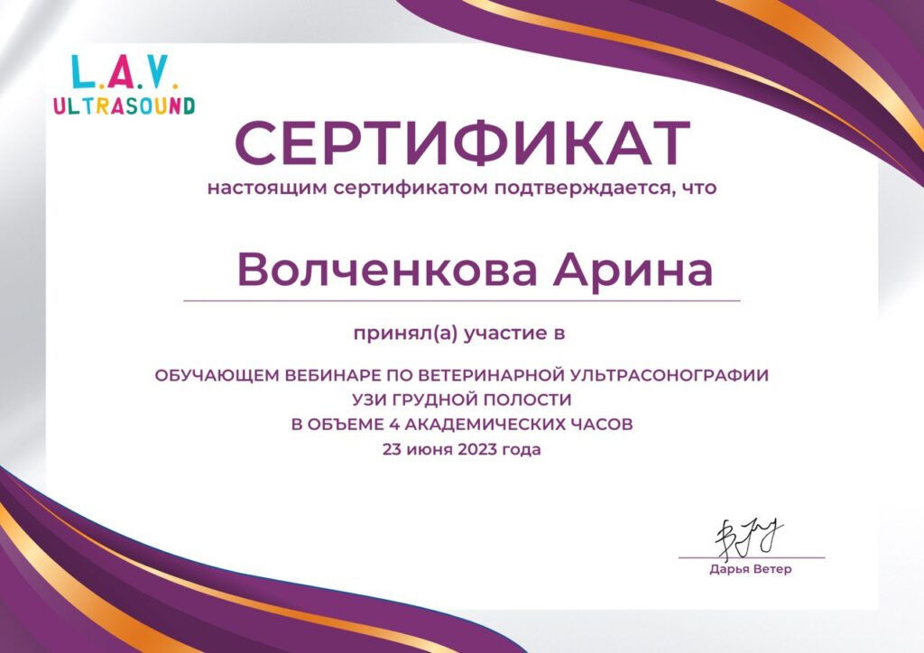 Арина Волченков Сертификат